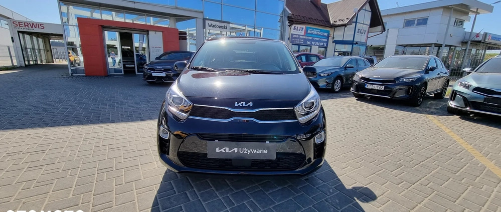 Kia Picanto cena 67900 przebieg: 307, rok produkcji 2023 z Różan małe 436